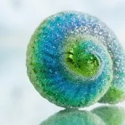 Microbilles sans trou 50 à 630 micromètres -  Preciosa Ornella - Pink x50g