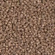 Miyuki Delica 11/0 DB1162 - Mat Galvanized Champagne x8g