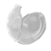 Cache noeuds 10 mm - Argenté x4