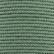 Cordon en polyester tressé 2 mm - Vert feuille x1m|raw }}