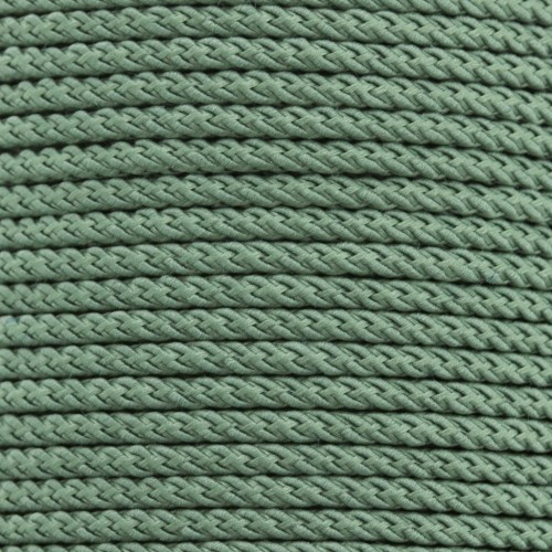 Cordon en polyester tressé 2 mm - Vert feuille x1m