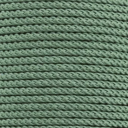 Cordon en polyester tressé 2 mm - Vert feuille x1m