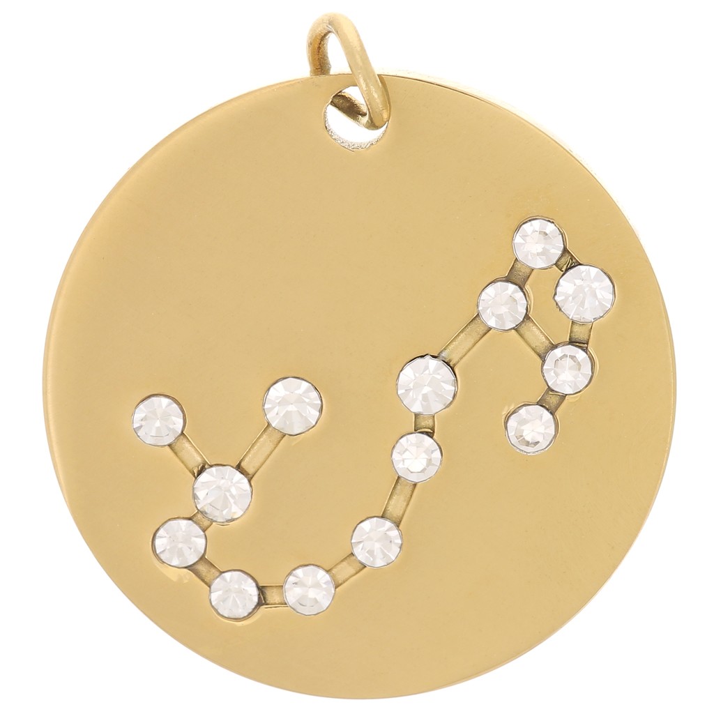 Pendentif Scorpion Métal Argenté Avec Cordon Réglable - Occasion, Très Bon état, Jamais Porté