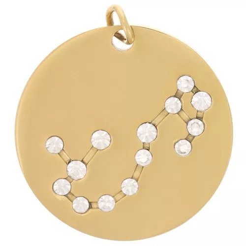 Pendentif constellation Scorpion 20mm avec anneau ouvert - Acier inox Doré x1