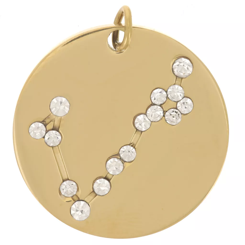 Pendentif constellation Poisson 20mm avec anneau ouvert Acier