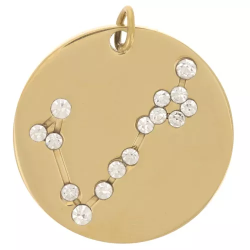 Pendentif constellation Poisson 20mm avec anneau ouvert - Acier inox Doré x1