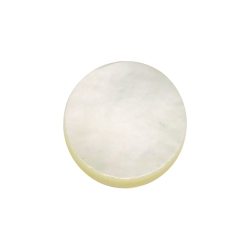 Cabochon plat rond 6 mm en nacre x1
