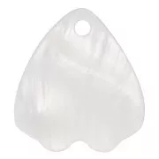 Pétale en Nacre 15.5x14 mm x1