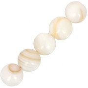 Perles rondes coquillage 8 mm - Naturel x10