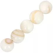 Perles rondes coquillage 8 mm - Naturel x10