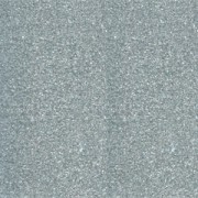 Poudre à embosser Silver x 25 ml|raw }}