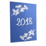 Poudre à embosser Silver x 25 ml