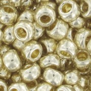 Rocaille Toho 11/0 TO11RPF558 - PF Galvanized Aluminium x8g