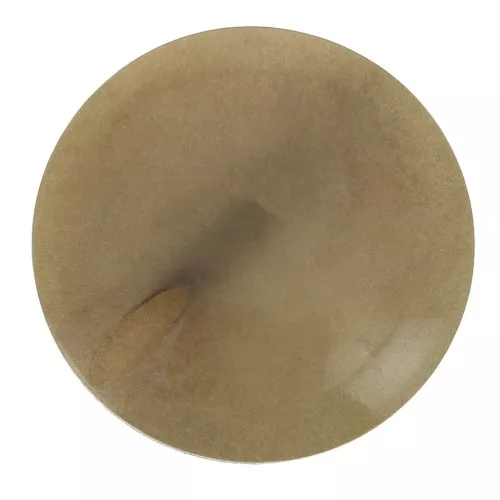Perle de Tagua ronde aplatie 20 mm - Marron Clair x1