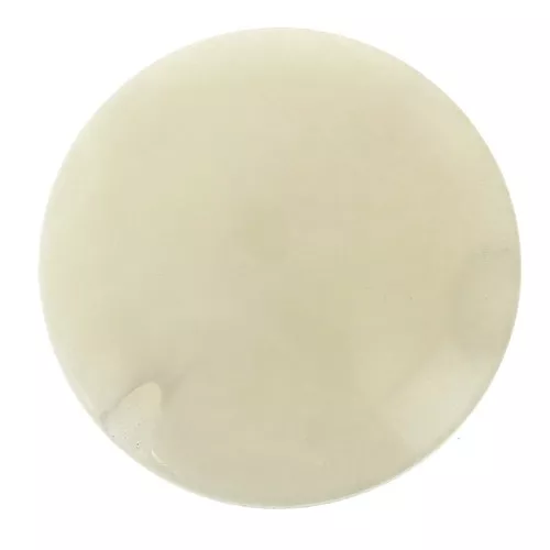 Perle de Tagua ronde aplatie 20 mm - Ivoire x1