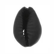 Coquillage Cauri teinté 15 à 20 mm - Noir x1