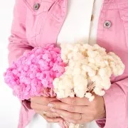 Immortelle du Var Rose - fleur séchée pour création DIY x1 tige