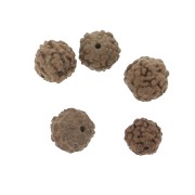 Perles graines naturelles de Rudraksha larmes de shiva 8 mm x20|raw }}