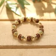 Perles graines naturelles de Rudraksha larmes de shiva 12 mm x10