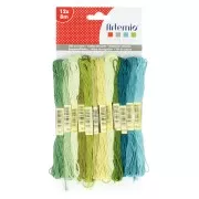 Assortiment 12 échevettes pour bracelet brésilien & broderie - Vert x1