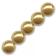 Crystal - Perles nacrées PureCrystal 5810 8 mm Bright Gold Pearl x5 Perles nacrées PureCrystal 5810 8 mm Bright Gold Pearl x5