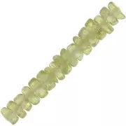 Perles Heishi rondelles en pierre gemme 4x2 mm - Péridot x20