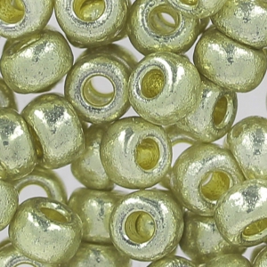 Rocaille Miyuki Duracoat 6/0 4201 - Galvanized Silver x8g