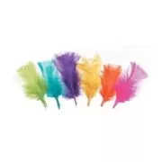Assortiment de plumes Couleurs fluo x14gr