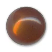 Perle ronde Polaris brillante 8 mm Marron x1