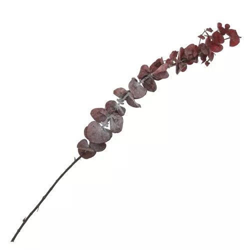 Eucalyptus Baby Blue Rouge - fleur séchée pour composition florale x1 tige
