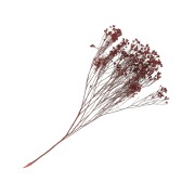 Gypsophile Rouge - fleur séchée pour composition florale x1 tige|raw }}