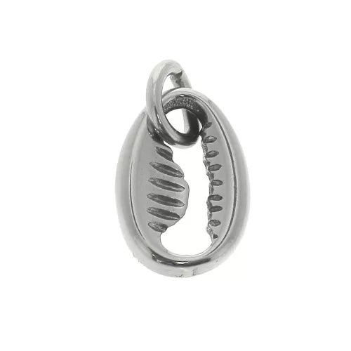 Breloque coquillage Cauri 11.5x8 mm avec anneau ouvert - Acier inoxydable x1