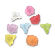 Assortiment de fleurs 9x10 mm Frosted x20