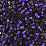 Miyuki Delica 11/0 DB0609 - Dark Purple Dyed Silver Lined  x8g|raw }}