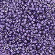 Miyuki Delica Duracoat 11/0 DB2509 - Galvanized Dark Lilac x8g
