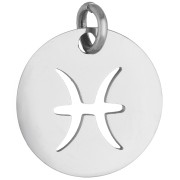Breloque ronde - signe du zodiaque Poisson 12 mm - Acier inoxydable 304 x1