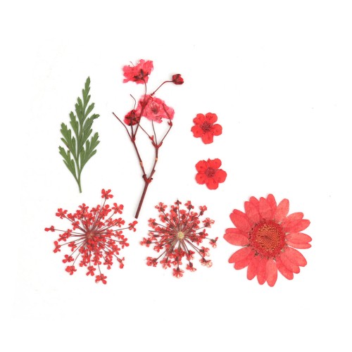 Assortiment fleurs séchées & pressées sur planche pour la création DIY - Rouge x1