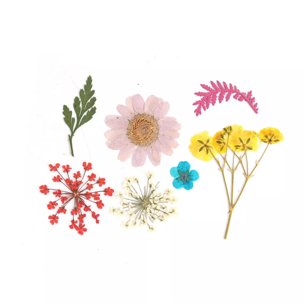 Gift Republic – Kit Presse à Fleurs DIY En Boîte Métal, Tout Compris