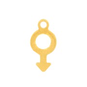 Breloque symbole masculin 12x6 mm - Acier inoxydable Doré x1|raw }}