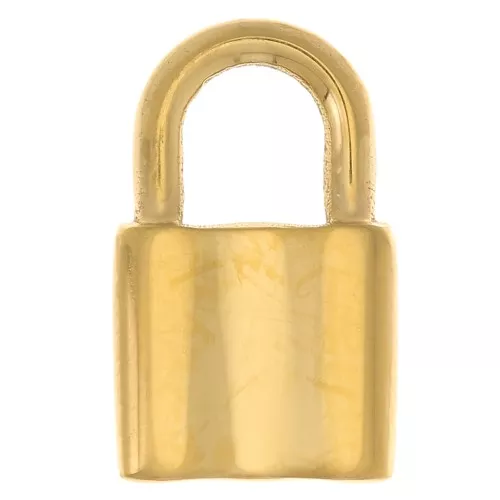 Breloque cadenas 17x10 mm - Acier inoxydable 304L Doré x1