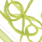 Ruban en soie Anis x1m|raw }}