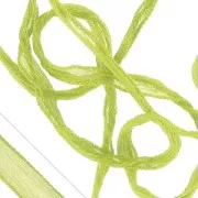 Ruban en soie Anis x1m