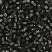 Miyuki Delica 11/0 DB0613 - Dyed Silver Lined Dark Gray x8g