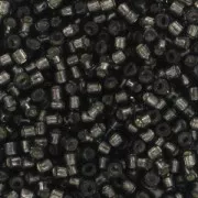 Miyuki Delica 11/0 DB0613 - Dyed Silver Lined Dark Gray x8g