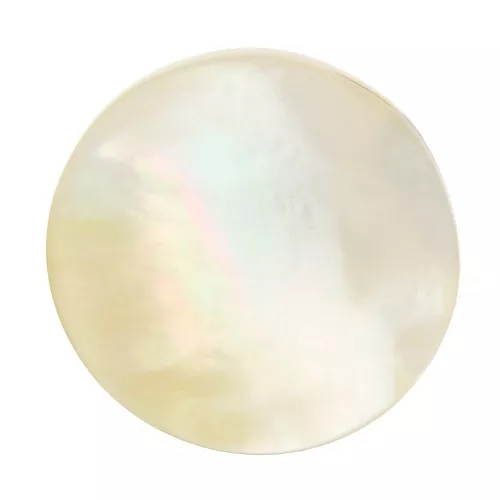 Cabochon rond plat 20 mm en Nacre x1