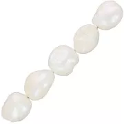 Perles d'eau douce Keshi - perles baroques irrégulières 11 mm - Blanc nacré x6