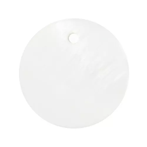 Sequins ronds 10 mm en nacre x10