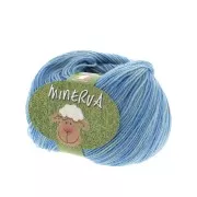 Laine Minerva n°21 - 100% Merinos - Multi bleu x50g