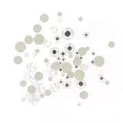 Assortiment de strass à coller PureCrystal Crystal x2gr