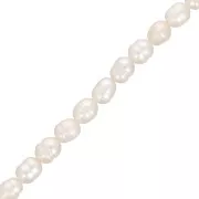 Perles d'eau douce olives irrégulières 6x5 mm - Blanc nacré x35 cm